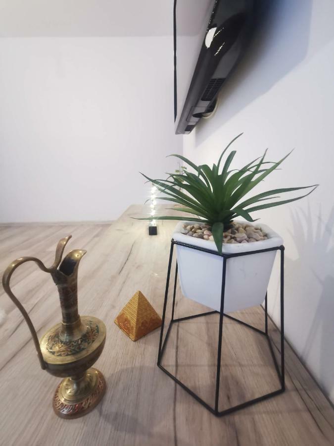 Youth Central Apartment Târgu-Mureş Εξωτερικό φωτογραφία